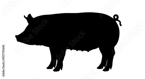 Black Silhouette of a Pig.