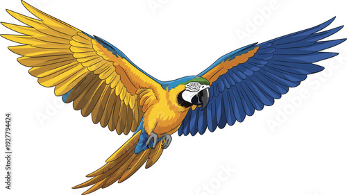 Blue and Yellow Macaw Parrot Flying with Open Wings Illustration