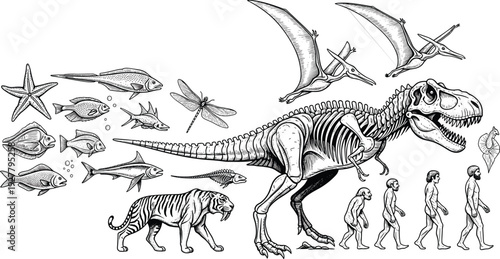 Evolution and Prehistoric Life Vintage Engraving Illustration Set