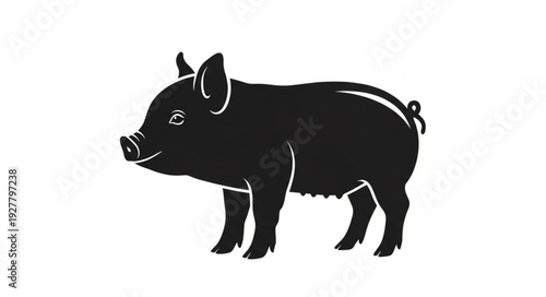 Black Silhouette of Pig Standing.