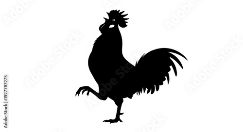 Black Silhouette of Rooster.