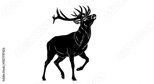 Black Silhouette of Deer Stag.