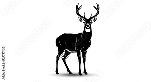 Black Silhouette of Deer with Antlers.