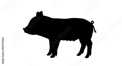 Black Silhouette of Pig Standing.