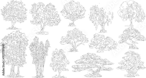 Collection of diverse black and white line trees and bamboo stalks plant nature foliage