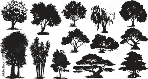 Diverse tree silhouettes including deciduous bamboo and bonsai styles on white background black nature