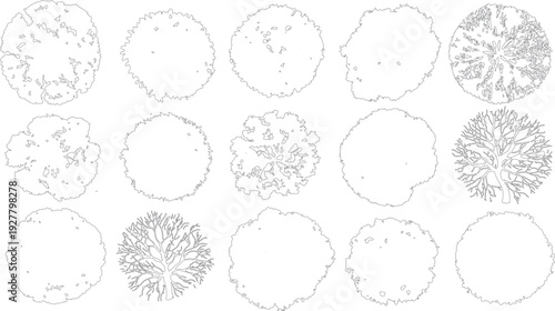 Collection of down tree outlines. Various leaf shapes and branch structures. Simple line view silhouette