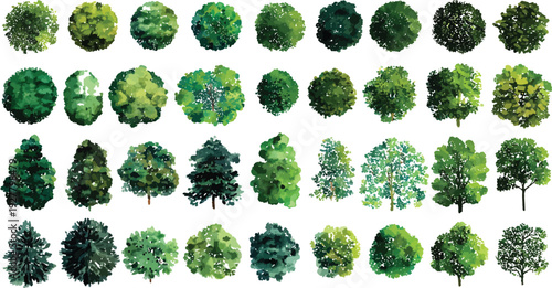 Collection of diverse green trees in various shapes and sizes nature plant foliage