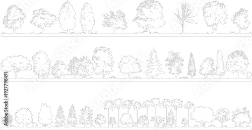 Diverse line trees and foliage in horizontal arrangement. Various deciduous and coniferous species depicted with detailed outlines and small dots representing leaves or texture