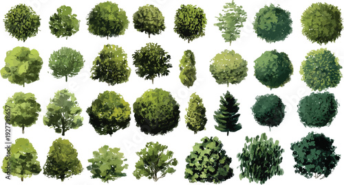 Collection of various green trees in different shapes and sizes with watercolor style nature plant foliage
