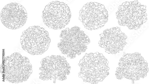 Ten black and white outlines of trees and leafy canopies canopy