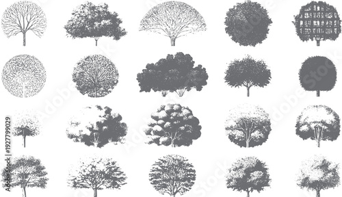 Collection of diverse grey trees with detailed branches and foliage in a style. Various tree shapes and textures are depicted