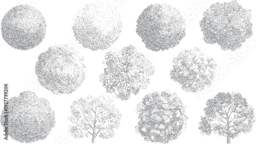 Collection of ten grey toned dotwork trees viewed from above and side profiles nature foliage leaves