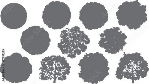 Collection of grey tree silhouettes with varied canopy shapes and branch details nature plant
