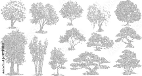 Collection of twelve black and white trees and bamboo stalks with detailed foliage patterns