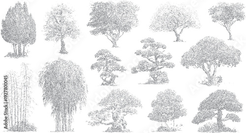 Collection of diverse trees rendered in stippled grey nature plant foliage