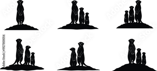 Black meerkat silhouettes set featuring various poses of families standing on lookout mounds isolated on white background for wildlife and nature design projects