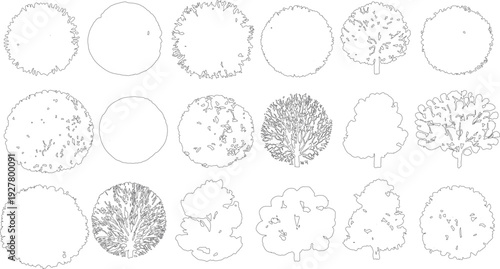 Collection of black and white outlines of various trees seen from above and side profiles nature plant