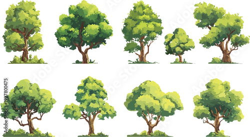 Eight diverse deciduous trees with green foliage and brown trunks set against a white background