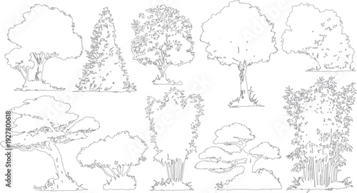 Collection of diverse tree and bamboo line Various shapes and sizes of foliage and trunks are depicted in a simple grey outline style against a white background