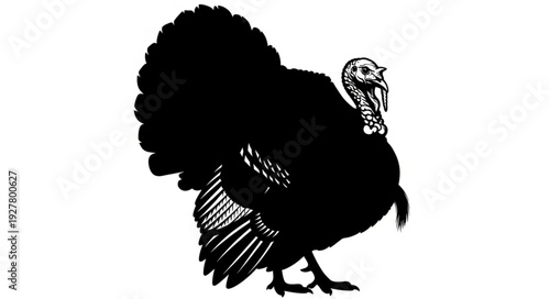 Black Silhouette of Turkey Bird.