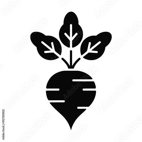 Minimalistic vector of a radish with three green leaves sprouting upward