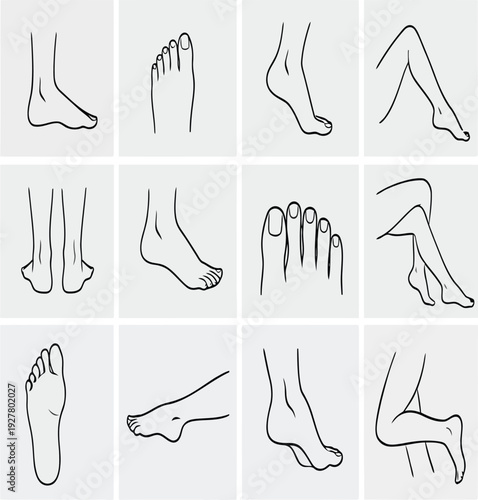 A collection of black and white drawings of feet and toes Vector