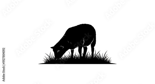 Cow Grazing in the Field.