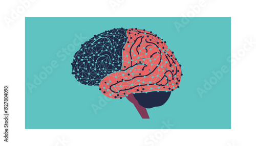 Human brain illustration showing neural connections