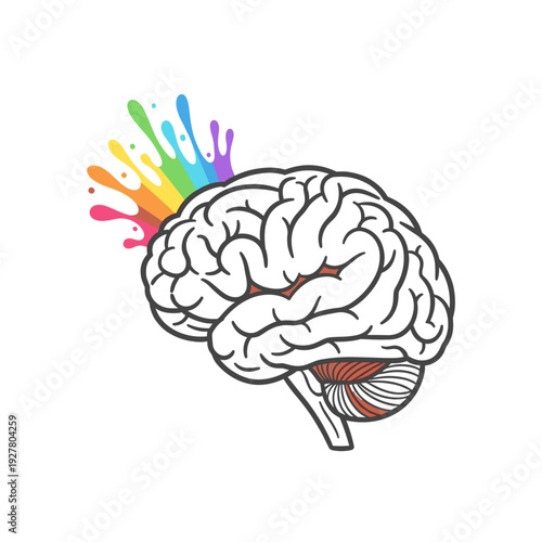 Colorful brain illustration with rainbow splashes on white background  