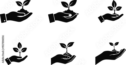 Plant in hand silhouette on white background