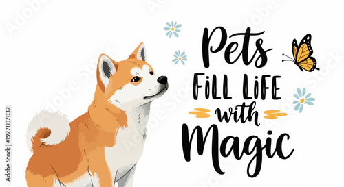 Cute dog and butterfly inspirational quote pets fill life with magic animal and insect friendship