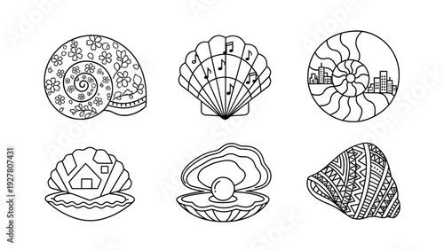 Collection of diverse seashell illustrations showcasing various shapes and patterns