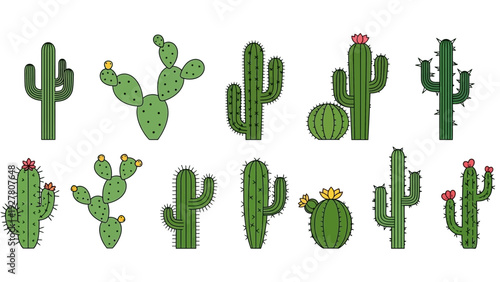 Collection of Illustrations Featuring Various Types of Cacti and Succulents in a Simple Cartoon