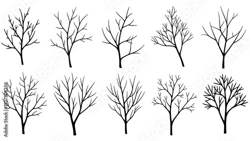 Collection of ten detailed black silhouette illustrations of leafless deciduous trees in different