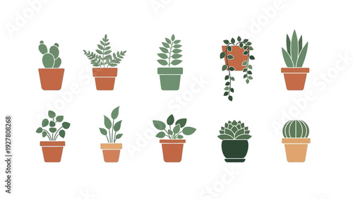 Collection of ten minimalist illustrated potted succulents and houseplants for decorative design