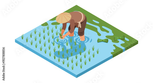 Isometric Illustration of People Working in Wetland.