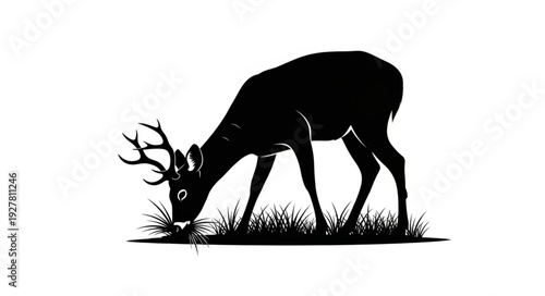 Deer Silhouette Grazing on Grass.