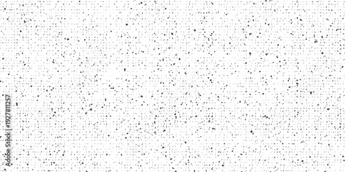 Black and white grunge vector background with soft grain overlay abstract texture for typography layouts.