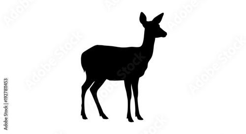 Deer Silhouette Standing Alone Isolated.