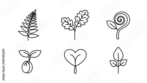 Minimalist Line Art of Various Plants and Leaves for Nature-themed Design