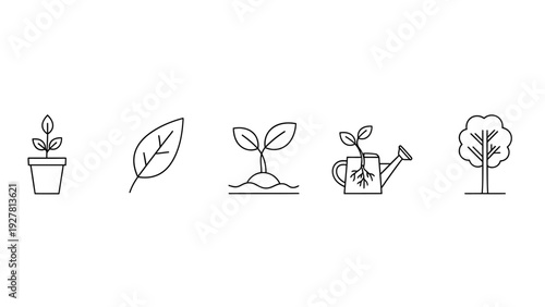 Simple Line Art Icons Representing Plant Growth and Nature Concepts