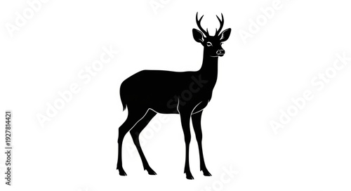 Deer Silhouette with Antlers Standing.