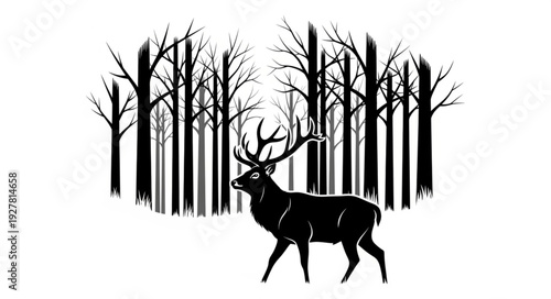 Deer Walking Through Forest Silhouette.