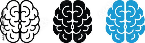 Three brain icons (outline, black, blue) symbolize intelligence, creativity, and cognitive processes, appearing bright and clear on white.