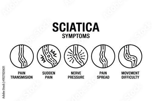 Sciatica symptoms illustration showing pain transmission, sudden pain, and nerve pressure