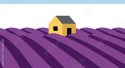 Small Yellow House in Lavender Field.