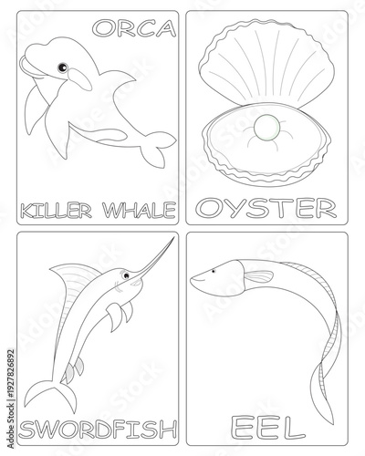 Black and white drawings for children's coloring. illustrations of sea creatures. image of orca, killer whale, oyster, swordfish, eel. vector graphics for kids education.
