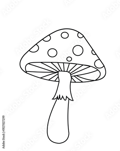 A black and white line drawing of a mushroom with spots on the cap