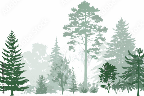 A serene forest landscape composed of varying shades of green trees